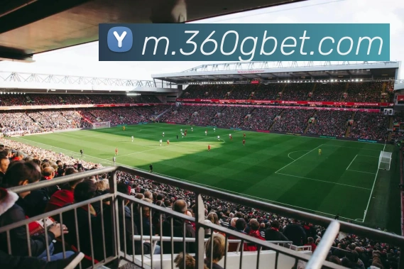 bet365comAPP 封面图